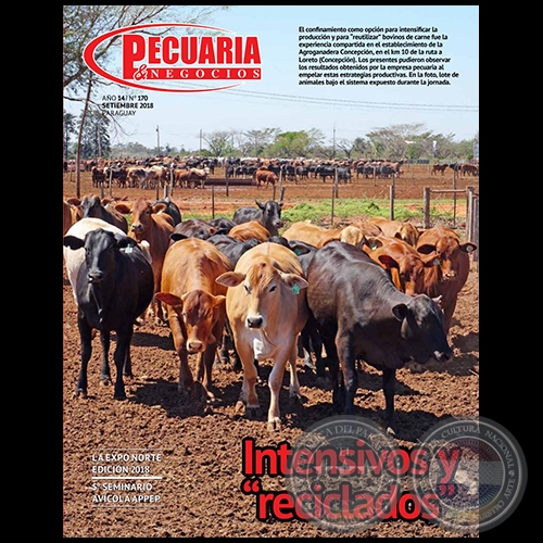 PECUARIA & NEGOCIOS - AO 14 NMERO 170 - REVISTA SETIEMBRE 2018 - PARAGUAY 